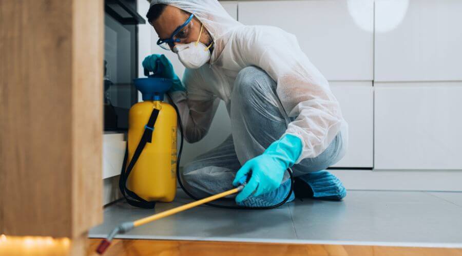 Professional german roach extermination bradenton fl services in Bradenton